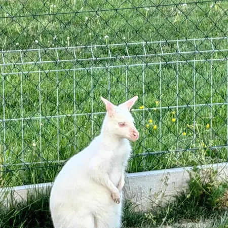 Апартаменты Fimm Велька-Ломница