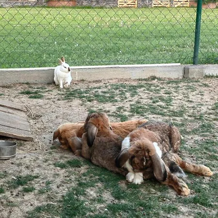 Апартаменты Fimm *